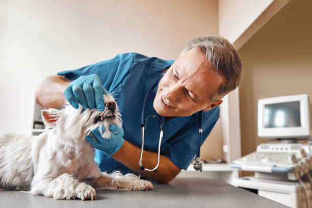 Best Weekend Emergency Dentist in Cinco Ranch, TX