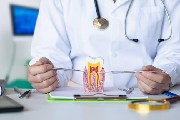 Best Emergency Dental Services for Seniors in Cinco Ranch, TX